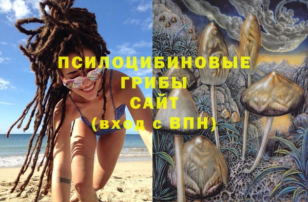 ПСИЛОЦИБИНОВЫЕ ГРИБЫ Белокуриха