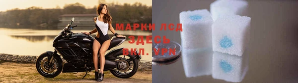 ПСИЛОЦИБИНОВЫЕ ГРИБЫ Белокуриха