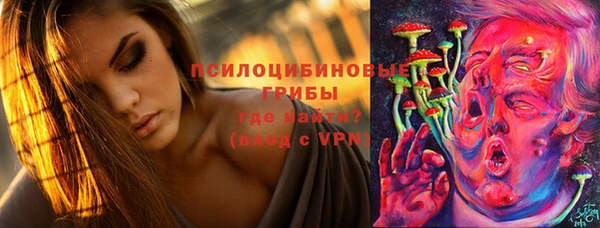 ПСИЛОЦИБИНОВЫЕ ГРИБЫ Белокуриха